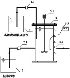 反硝化厌氧氨氧化SBR处理高浓度硝酸盐废水的工艺优化与机制研究